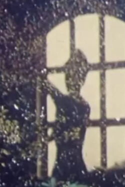 The Portrait of Cordua (1969)