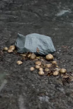The Potato Eaters (2016)