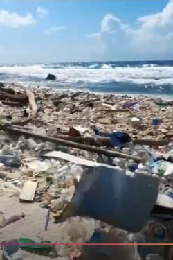 The Price of Plastics (2019) The Price of Plastics (2019)