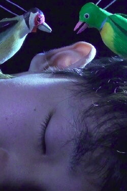 The Princess and the Magic Birds (2021) The Princess and the Magic Birds (2021)