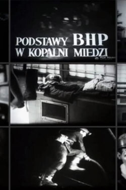 The Principles of Safety and Hygiene in a Copper Mine (1972) The Principles of Safety and Hygiene in a Copper Mine (1972)