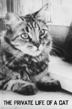 The Private Life of a Cat (1946)