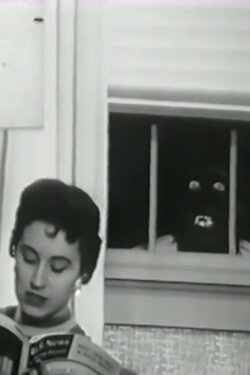 The Professor (1958) The Professor (1958)