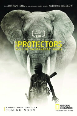 The Protectors (2017) The Protectors (2017)