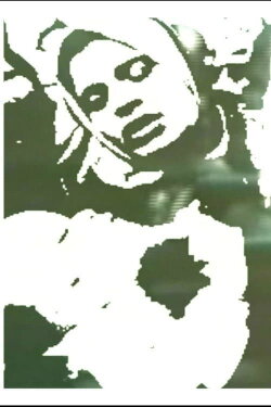The PSA Project (2005)