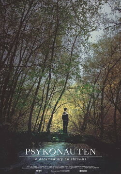 The Psychonaut (2015) The Psychonaut (2015)