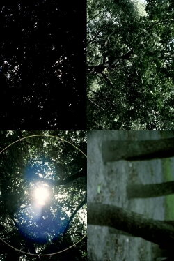 The Pursuit of What Was (2009) The Pursuit of What Was (2009)
