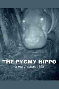 The Pygmy Hippo: A Very Secret Life (2014) The Pygmy Hippo: A Very Secret Life (2014)