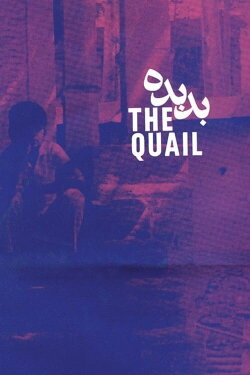 The Quail: The Tale of a Boy Who Asks (1970) The Quail: The Tale of a Boy Who Asks (1970)
