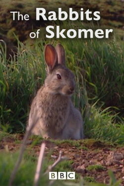 The Rabbits of Skomer (2006) The Rabbits of Skomer (2006)