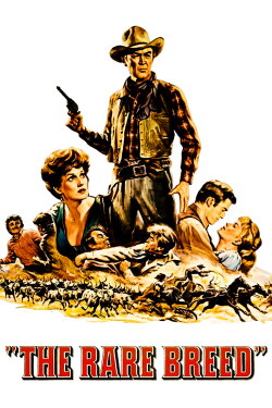 The Rare Breed (1966) The Rare Breed (1966)