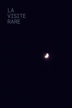 The Rare Visit (2022)
