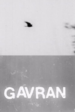 The Raven (1973)