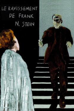 The Ravishing of Frank N. Stein (1982)