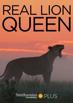 The Real Lion Queen (2013) The Real Lion Queen (2013)