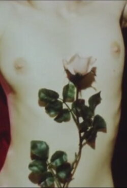 The Red Blue (1971)