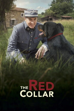 The Red Collar (2018) The Red Collar (2018)