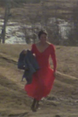 The Red Dress (1978) The Red Dress (1978)