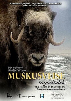 The Return of the Musk Ox (2008) The Return of the Musk Ox (2008)