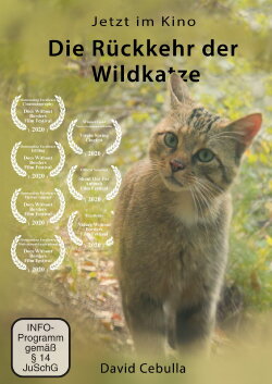 The Return of the Wildcat (2020) The Return of the Wildcat (2020)