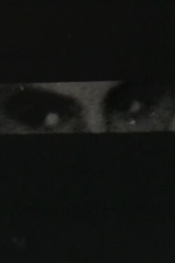 The Revolutionary Was a Cop (1971)