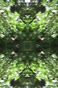 The Richter Garden (2012) The Richter Garden (2012)