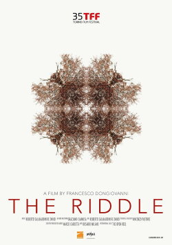 The Riddle (2017) The Riddle (2017)