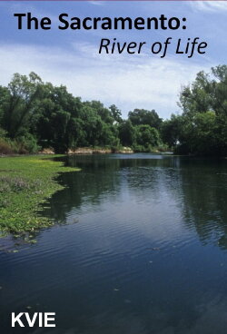 The Sacramento River of Life (2005)