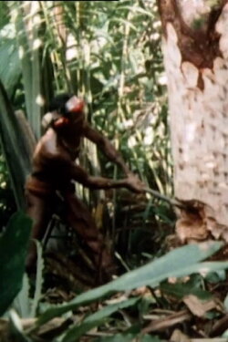 The Sakuddei (1974) The Sakuddei (1974)