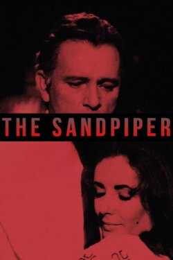 The Sandpiper (1965)