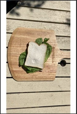 The Sandwich (2021)