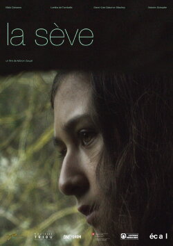 The Sap (2016)