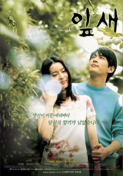 The Scent of Love (2001) The Scent of Love (2001)