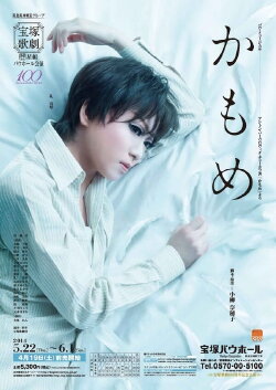 The Seagull (2014) The Seagull (2014)