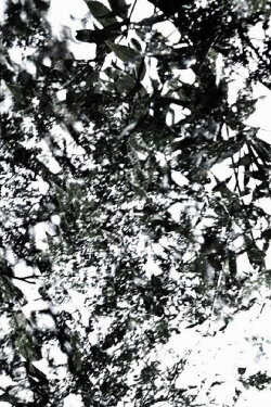 The Seasons (2008)