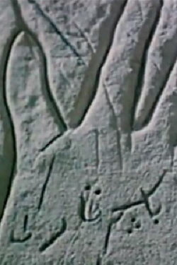 The Secrecy of an Open Palm (1968) The Secrecy of an Open Palm (1968)