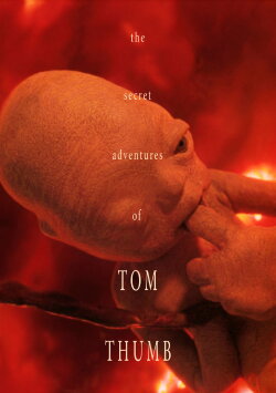 The Secret Adventures of Tom Thumb (1993)