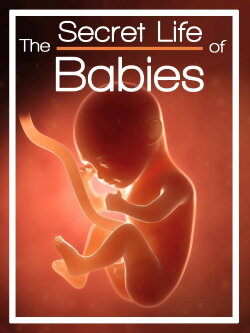 The Secret Life of Babies (2005)