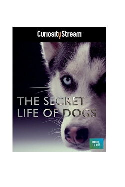 The Secret Life of Dogs (2013) The Secret Life of Dogs (2013)