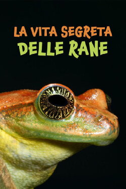 The Secret Life of Frogs (2019) The Secret Life of Frogs (2019)