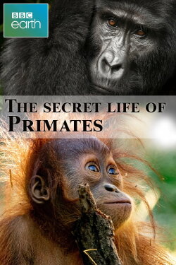 The secret life of Primates (2009) The secret life of Primates (2009)