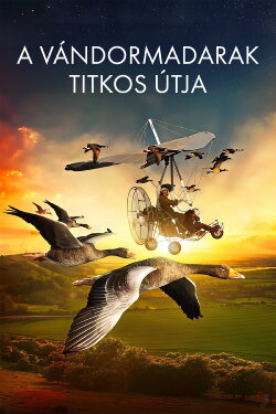 The Secret Routes of Migratory Birds (2014) The Secret Routes of Migratory Birds (2014)
