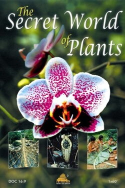 The Secret World of Plants (2003) The Secret World of Plants (2003)