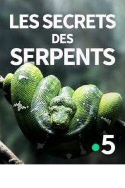 The Secrets of the Snakes (2016) The Secrets of the Snakes (2016)