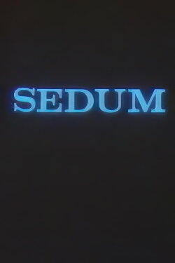 The Seven (1989)