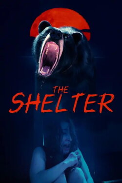 The Shelter (2026) The Shelter (2026)