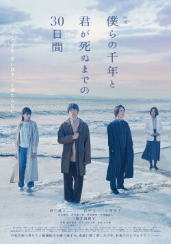 The Shoreline (2024) The Shoreline (2024)