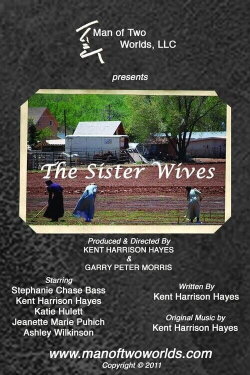 The Sister Wives (2011) The Sister Wives (2011)