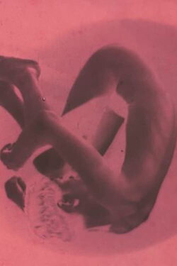 The Skin of a Napping (1967) The Skin of a Napping (1967)