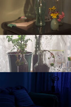 The Sleeping Beauty (2023) The Sleeping Beauty (2023)